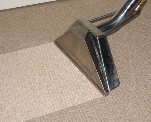 carpet cleaning camberwell