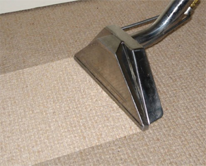 Carpet dry/steam cleaning