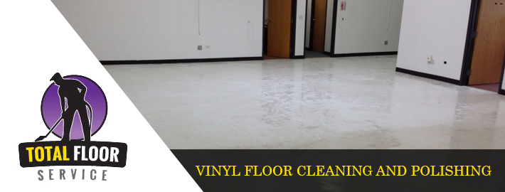 Vinyl Floor Cleaning